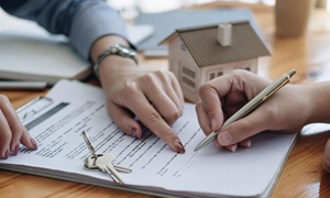 Servicos - Consultoria.jpg